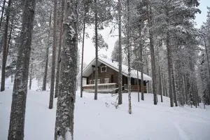 Holiday Cabin Aurora River inc Wilderness Sauna - Rautuskylä