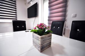 Apartman Cvetkovic