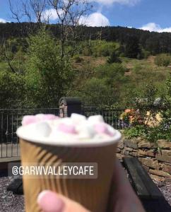 Valley View Cottage with stunning balcony views!