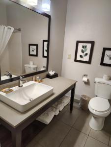 One-Bedroom King Suite with Sofa Bed room in Country Inn & Suites by Radisson Indianapolis South IN