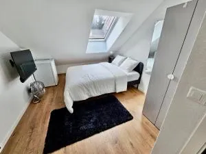 Cosy private room in Lausanne center - 罗马内勒