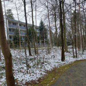 W KORONACH DRZEW Apartamenty Polanica-Zdrój