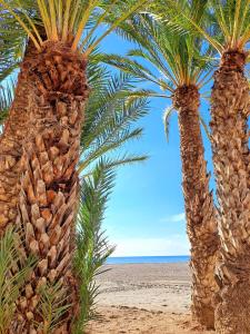 Apartment Cabrio - Santa Pola