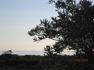 Maisons de vacances VILLA T3 bord de mer - vue mer a 500 m de la plage- piscine chauffee A CASETTA DI A SPIAGGIA : photos des chambres