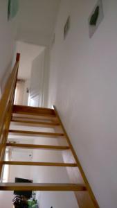 Maisons de vacances VILLA T3 bord de mer - vue mer a 500 m de la plage- piscine chauffee A CASETTA DI A SPIAGGIA : photos des chambres