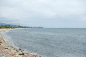 Maisons de vacances VILLA T3 bord de mer - vue mer a 500 m de la plage- piscine chauffee A CASETTA DI A SPIAGGIA : photos des chambres