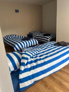 Appartement des dauphins