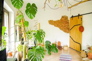 Lupeni Alley cozy central apartment&private garden