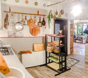 Lupeni Alley cozy central apartment&private garden