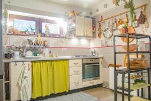 Lupeni Alley cozy central apartment&private garden