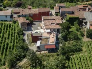 Piccolo Bacco dei Quaroni - Spessa