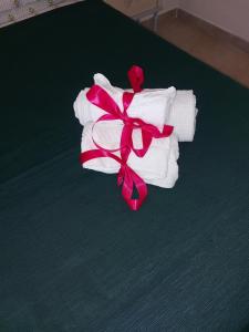 Su Furriadroxiu img13