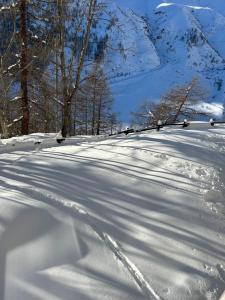 Casa Camas, wide 2bedroom, feel the mountain