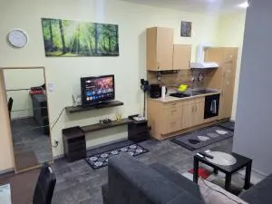 Wohnung in Elz - Hambach