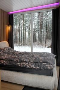 Minimaja ja saunamaja vaatega männimetsale