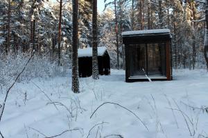 Minimaja ja saunamaja vaatega männimetsale