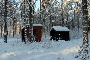 Minimaja ja saunamaja vaatega männimetsale