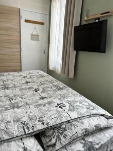 Appartements Le Chanzy Proche des Thermes et de la Gare : photos des chambres