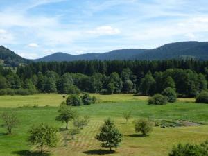 Appartements AB Bel appartement 1 a 4 pers face vallee 3 etoiles WIFI : photos des chambres
