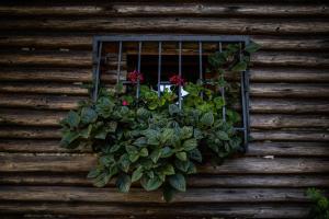 Ranczo Stare Objezierze