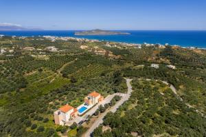Olive Tree Hillside Apartment