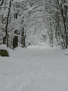 AH Large apartment 1 a 7 pers 3 stars WiFi