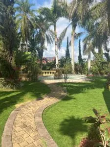 Hidden oasis - Knockpatrick