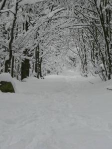 D1 Very nice studio of 1 à 4 pers 3 stars WiFi