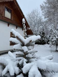 Na Szlaku - domki do wynajęcia