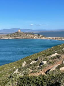 Les Lauriers, chambre d'hôtes img12