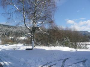 Appartements D2 Beautiful studio of 1 a 4 pers face valley 3 stars WiFi : photos des chambres