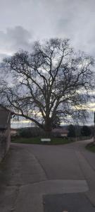 Le gîte Et puits cest tout