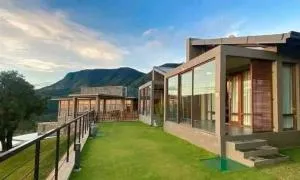 Gazania Gazania - Gintota