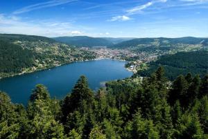Appartements G2 Fully equipped apartment 1 a 4 pers 3 stars WiFi : photos des chambres