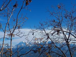 Radha Gopal Royal, Kausani