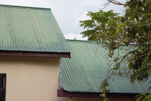 Safari Junction Backpackers Hostel Mwanza