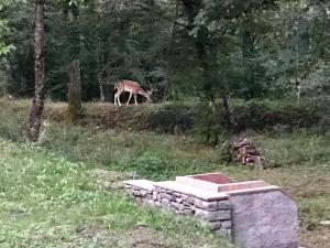 Casa Vacanze MULINO DI VALIANA