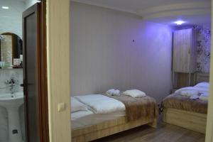Hotel LION in Borjomi الأسد
