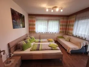 Haus Neurauter - 锡尔茨