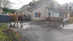 Maison N 2 Du Bas Coudreau