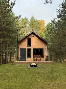 Local Forest - Mostiškės