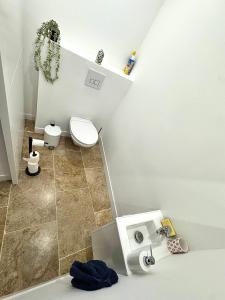 Appartements Spacieux et atypique avec place de parking devant la porte d-entree : photos des chambres