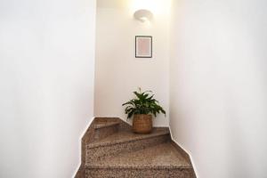 Dalmatian stone cottage