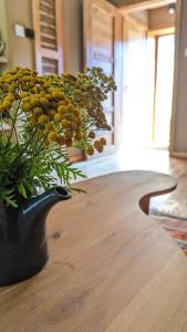 Zielona Perspektywa Agroturystyka