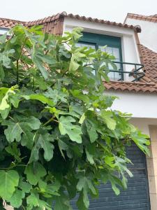 Chalet Monte da Garda