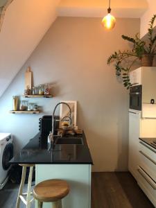 Cozy apartment with large roof terrace