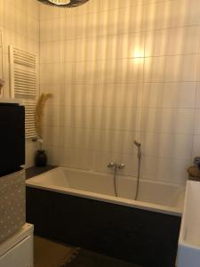 Cozy apartment with large roof terrace