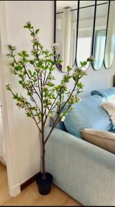 Vistas al mar primera linea playa Valdelagrana