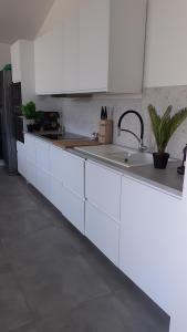 Villa Isula Contemporaine