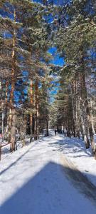 Апартман Весна Дивчибаре